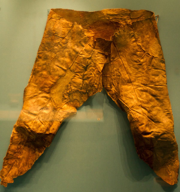 گنجینه پازیریک