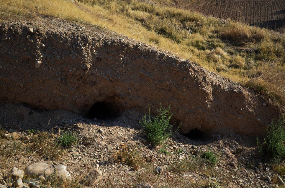 ولیران دماوند