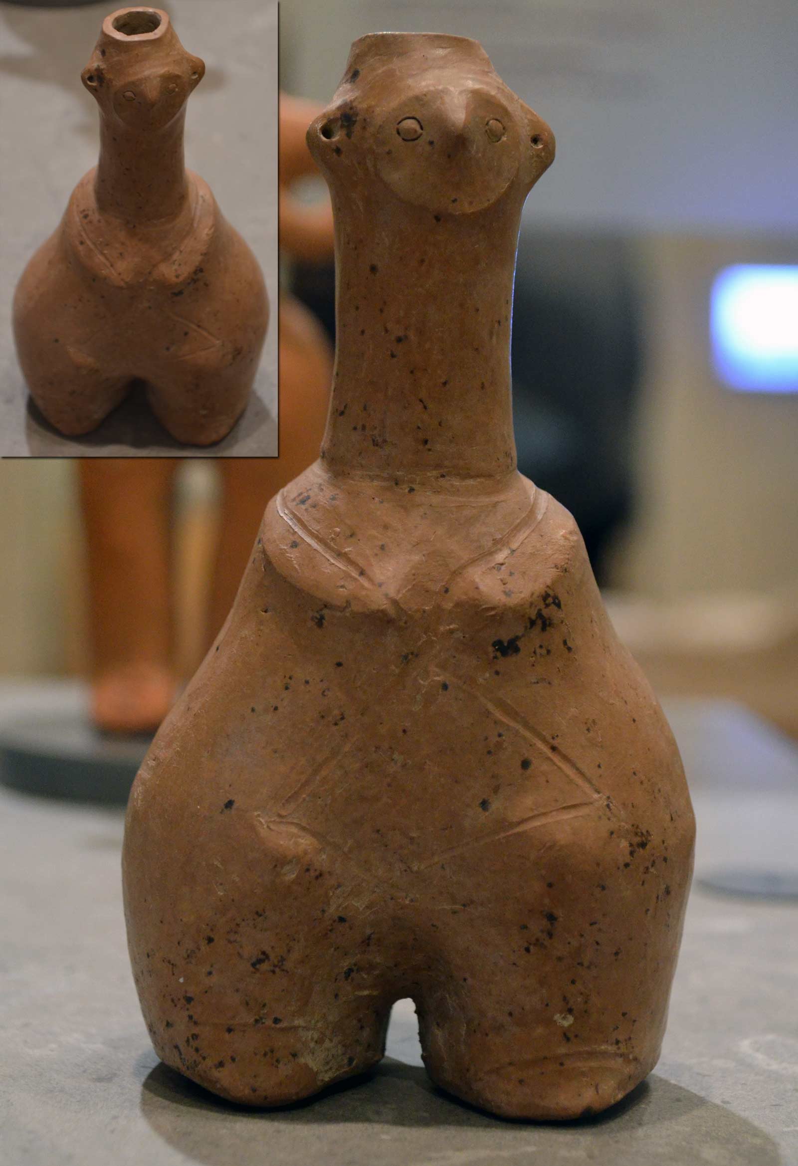 املش