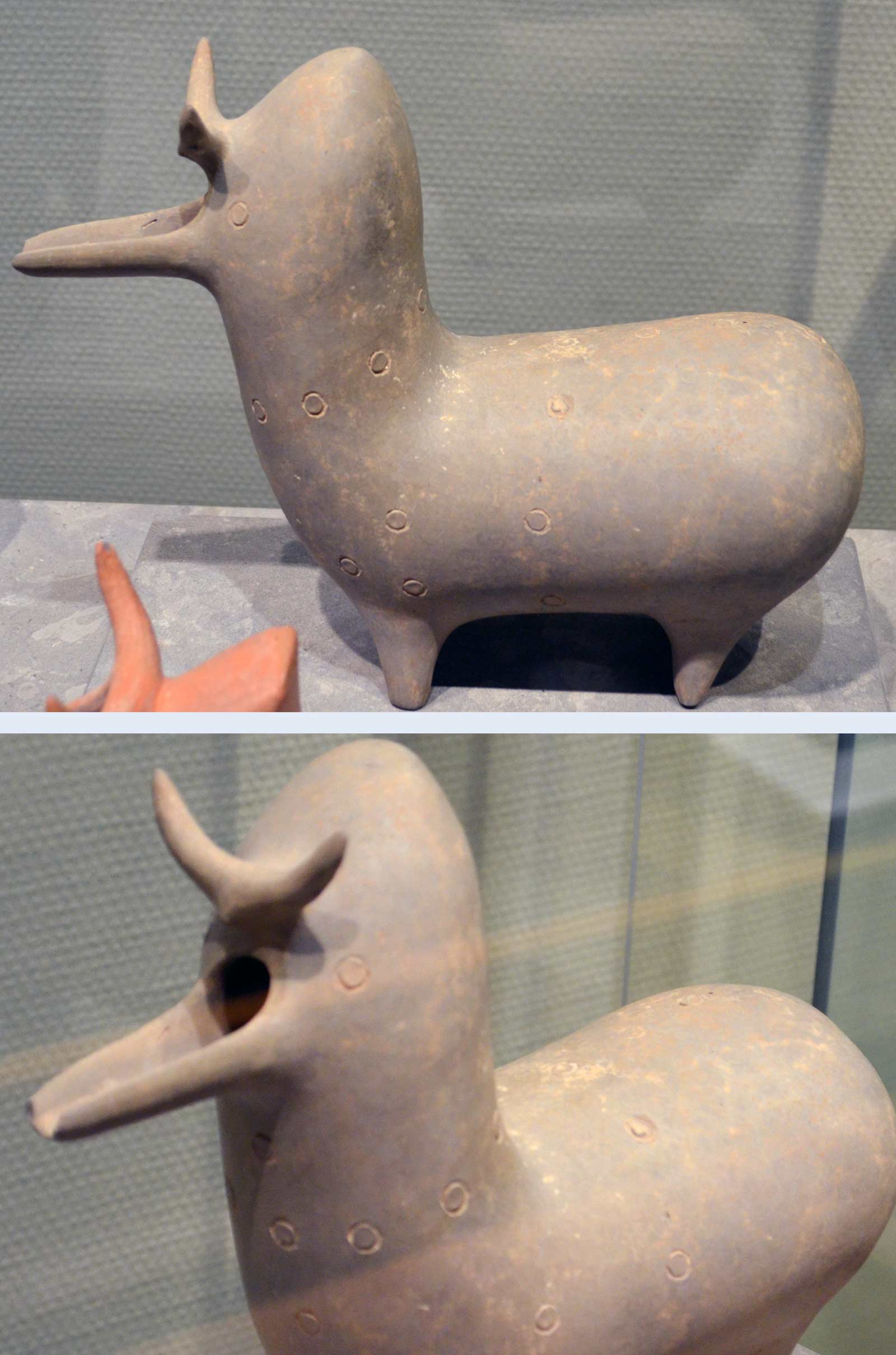 املش