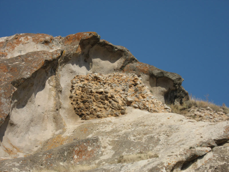 بوینی یوغون