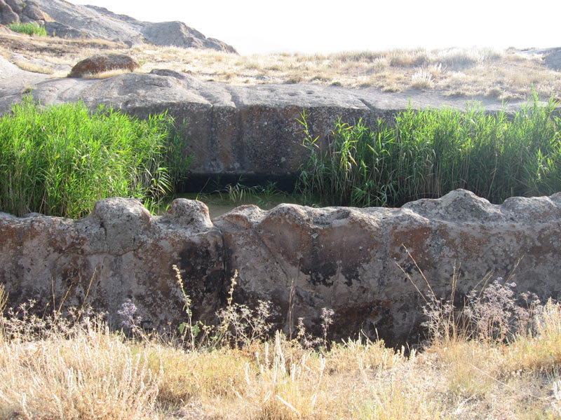 بوینی یوغون