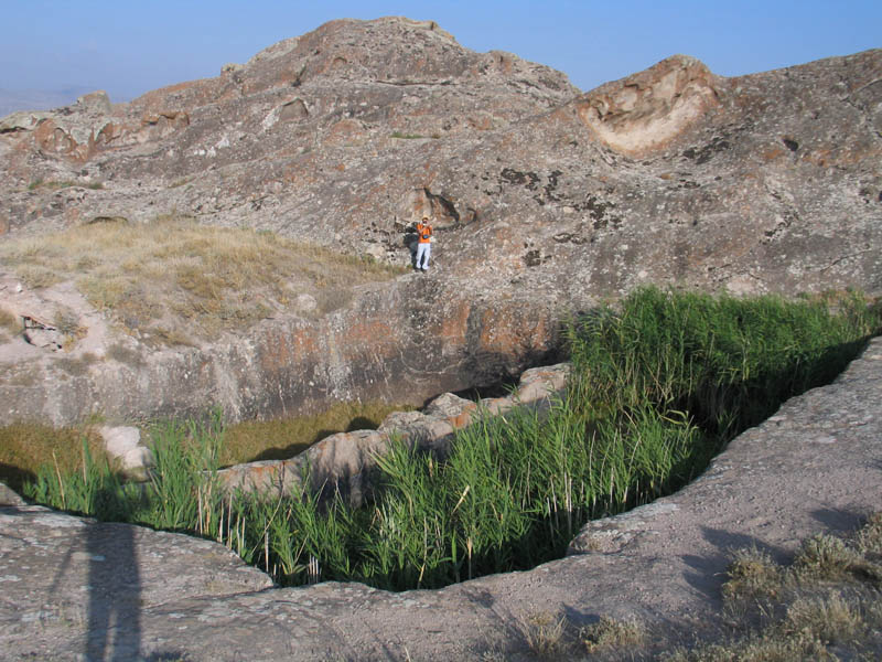 بوینی یوغون