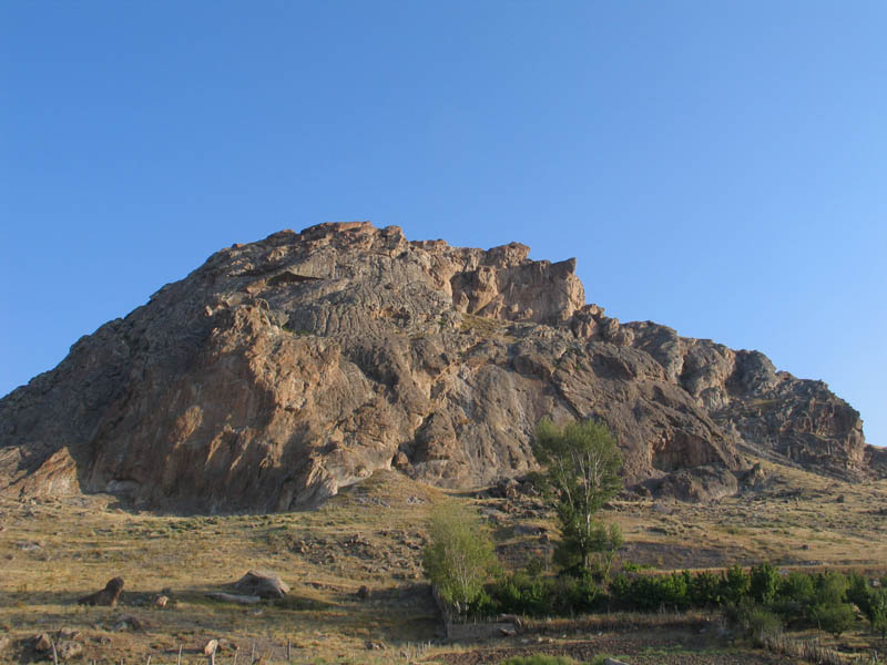 بوینی یوغون