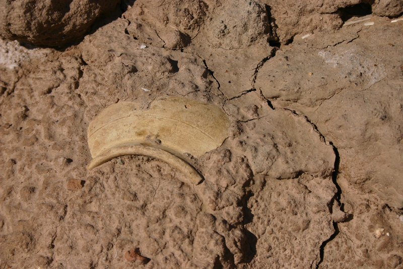 شهر کهن جیرفت