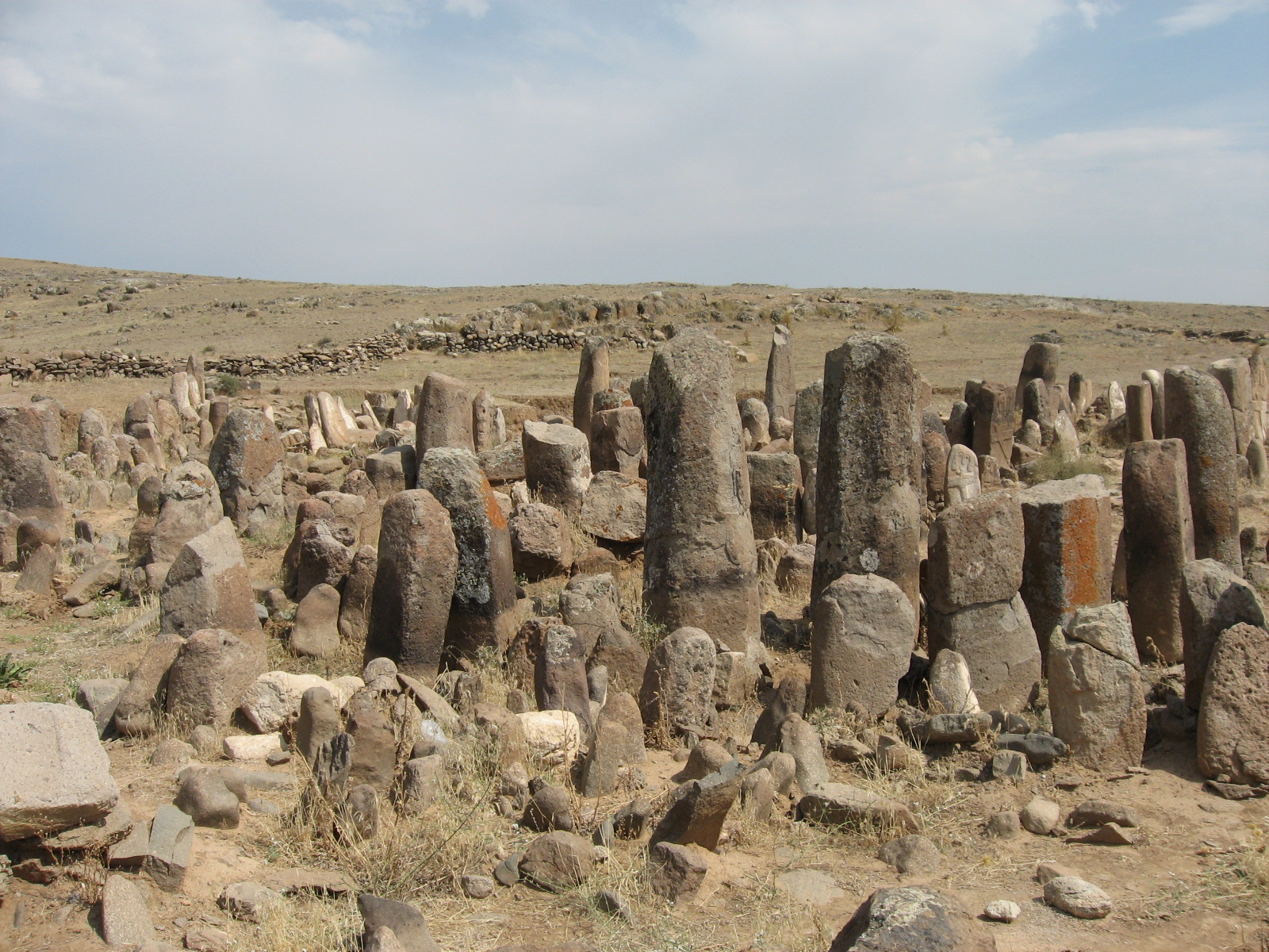 شهر یری