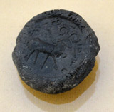 گل مهر تخت ابونصر