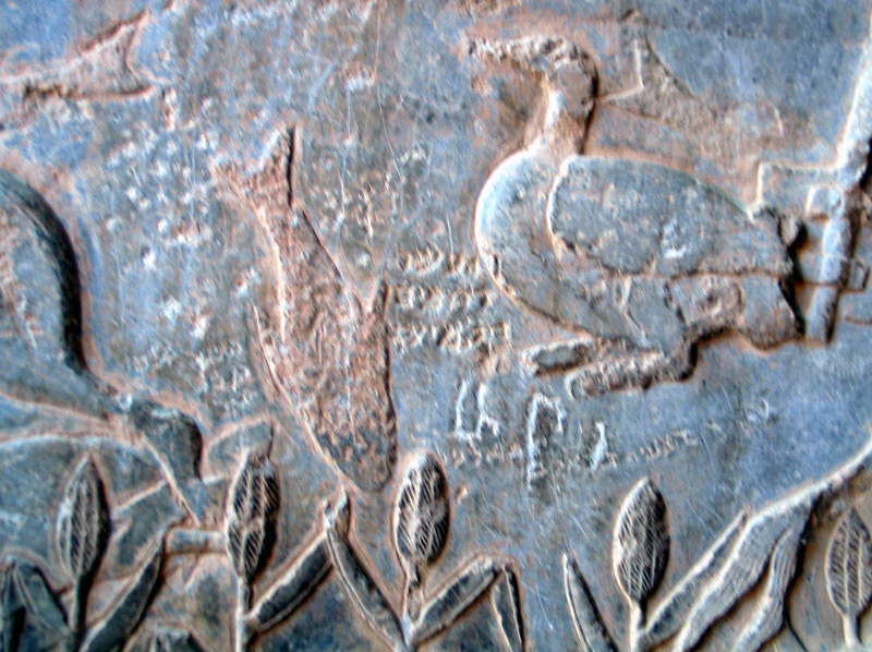 سنگ نگاره های تاق بستان