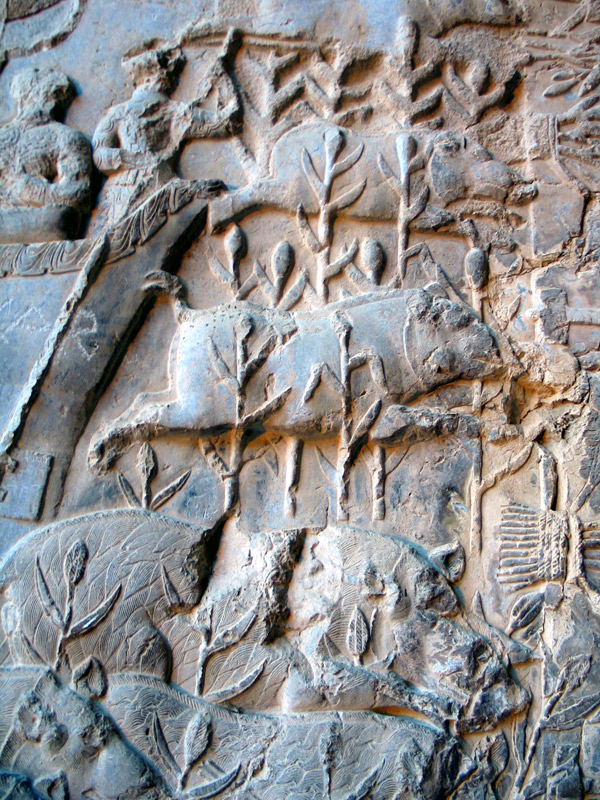 سنگ نگاره های تاق بستان