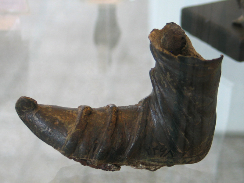 هنر سلوکیان